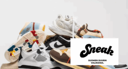 Sneak fi